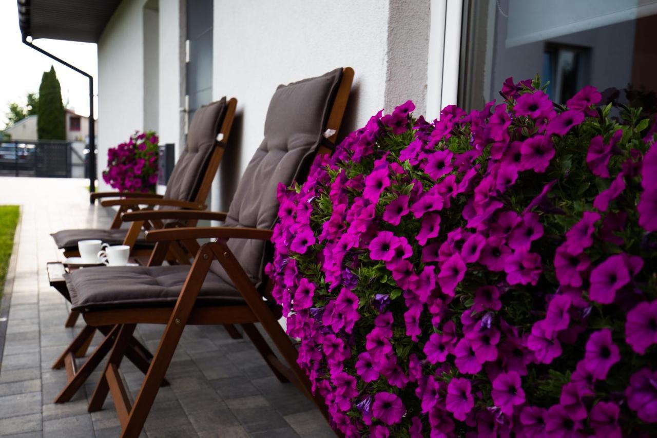 Apartament Asnyka Zamosc  Ngoại thất bức ảnh